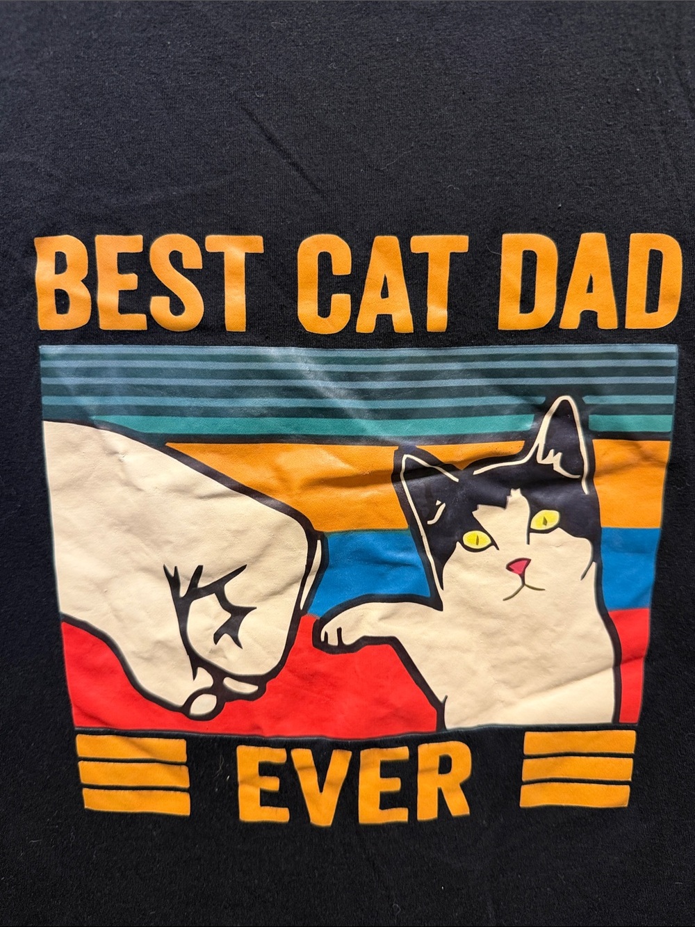 Best Cat Dad Ever Graphic Tee - Black - Picture 2 of 2